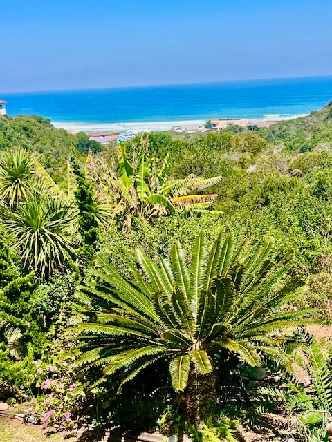 4 Bedroom Property for Sale in Outeniqua Strand Western Cape